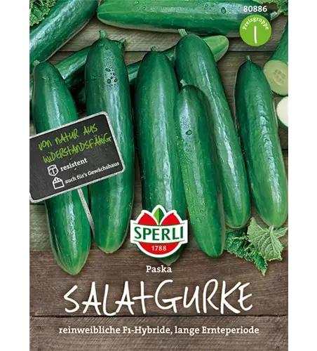 Salatgurken 'Paska'
