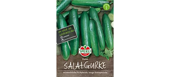 Salatgurken 'Paska'