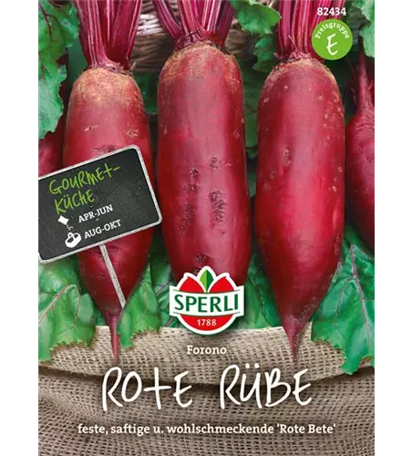 Rote Rübe 'Forono'