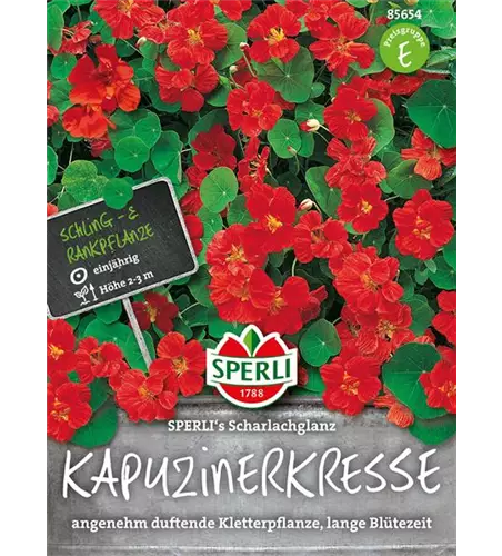 Kapuzinerkresse 'Scharlachglanz'