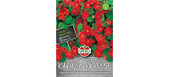 Kapuzinerkresse 'Scharlachglanz'