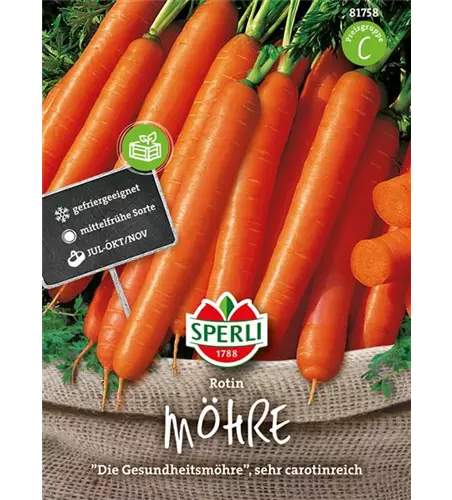 Möhre 'Rotin'