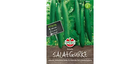 Gurke 'Saladin'
