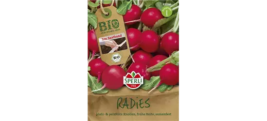 Radieschen 'Rudolf'
