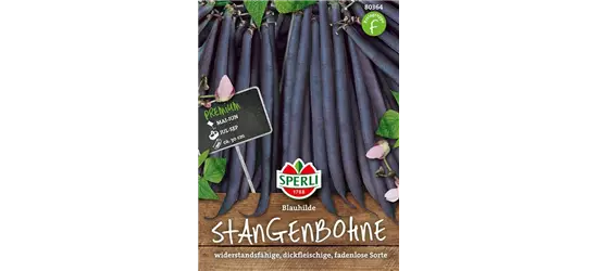 Stangen-Bohne 'Blauhilde'