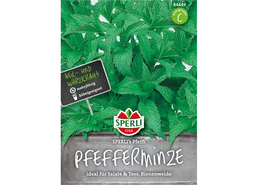 Pfefferminze 'Pfeffi'