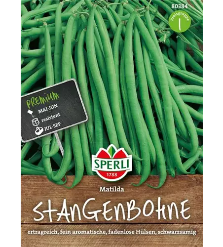 Stangenbohne 'Matilda'