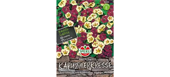 Kleine Kapuzinerkresse 'Night and Day'