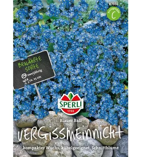 Wald-Vergissmeinnicht 'Blue Ball'