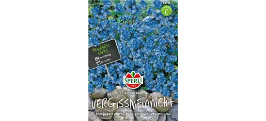 Wald-Vergissmeinnicht 'Blue Ball'