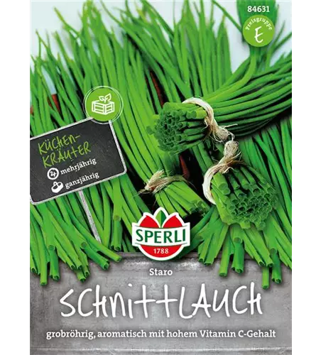 Schnittlauch 'Staro'