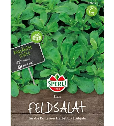 Feldsalat 'Elan'