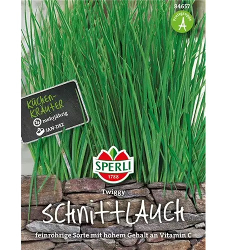 Schnittlauch 'Twiggy'