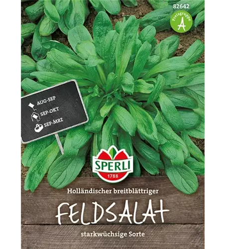 Feldsalat 'Holländischer Breitblättriger'