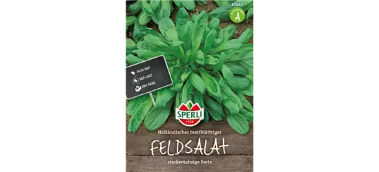 Feldsalat 'Holländischer Breitblättriger'