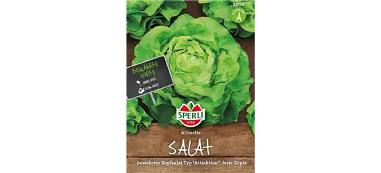 Kopfsalat 'Attraktion'