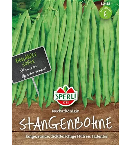 Stangen-Bohne 'Neckarkönigin'