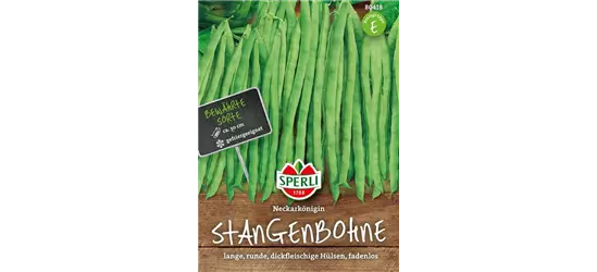 Stangen-Bohne 'Neckarkönigin'