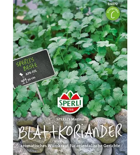 Blattkoriander 'Marino'