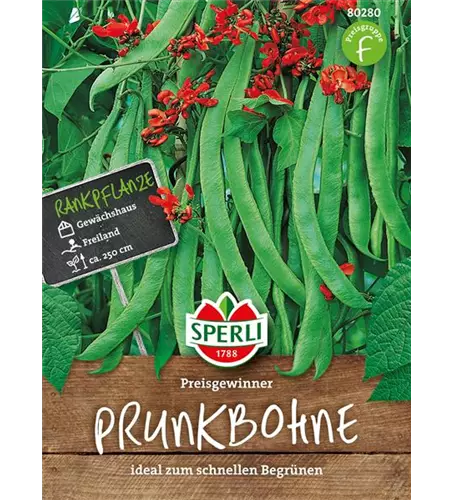 Prunk-Bohne 'Preisgewinner'