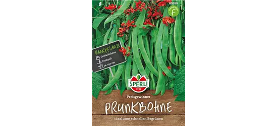 Prunk-Bohne 'Preisgewinner'