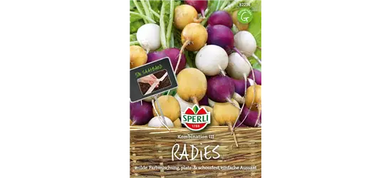 Radieschen Kombination 'Zlata, Viola, Albena'
