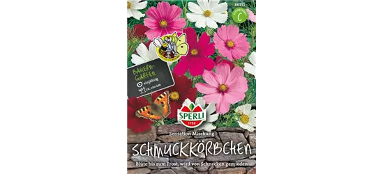 Fiederblättriges Schmuckkörbchen 'Sensation'