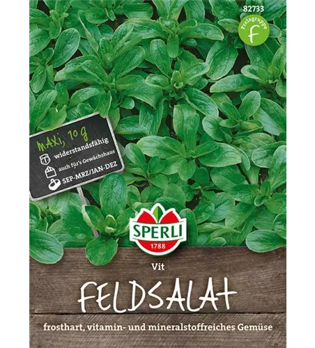 Feldsalat 'Vit'
