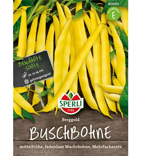 Busch-Bohne 'Berggold'