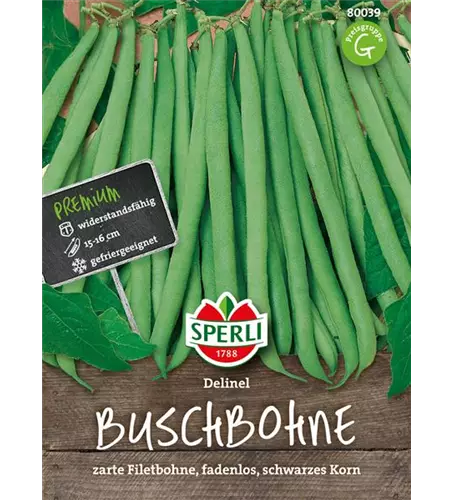 Busch-Bohne 'Delinel'