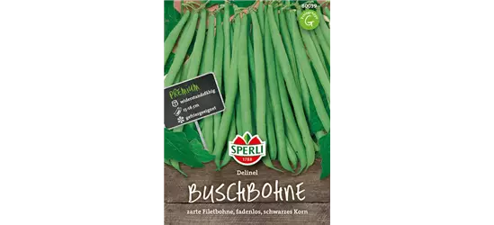 Busch-Bohne 'Delinel'