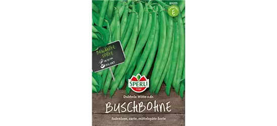 Busch-Bohne 'Doppelte holländische Prinzess'