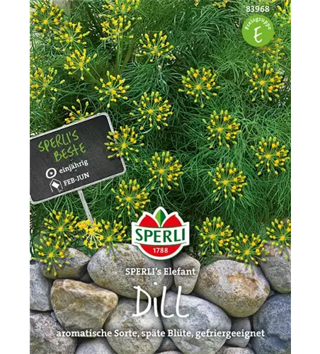 Dill 'Elefant'