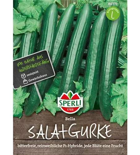 Salatgurke 'Bella'