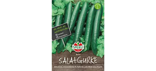 Salatgurke 'Bella'