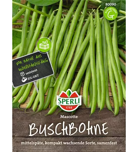 Buschbohne 'Mascotte'