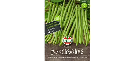 Buschbohne 'Mascotte'
