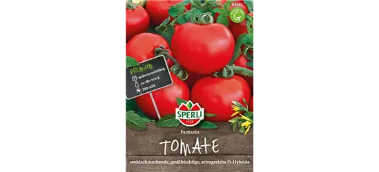 Tomate 'Fantasio F1'