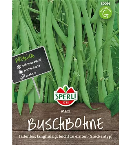 Busch-Bohne 'Maxi'