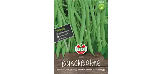 Busch-Bohne 'Maxi'