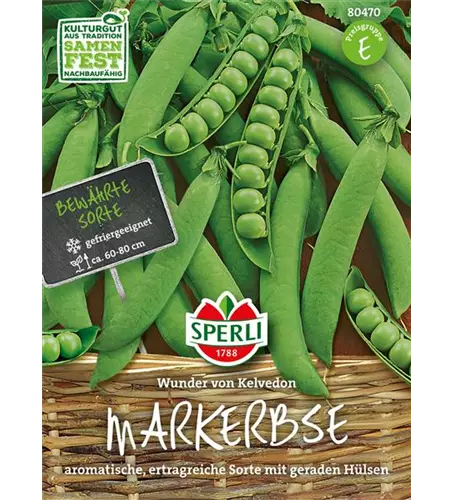 Markerbse 'Wunder von Kelvedon'
