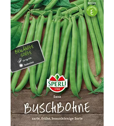 Busch-Bohne 'Saxa'