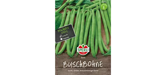 Busch-Bohne 'Saxa'