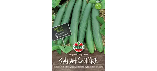 Gurke 'Burpless Tasty Green F1'