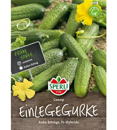 Einlegegurke 'Conny F1'