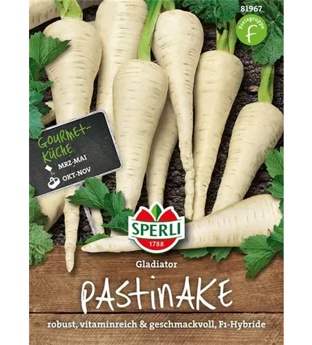 Pastinake 'Gladiator F1'