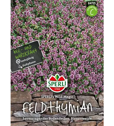 Feldthymian 'Wild Magic'