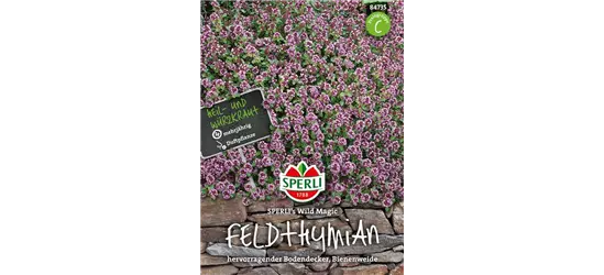 Feldthymian 'Wild Magic'
