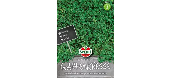 Gartenkresse 'Einfache Grüne'