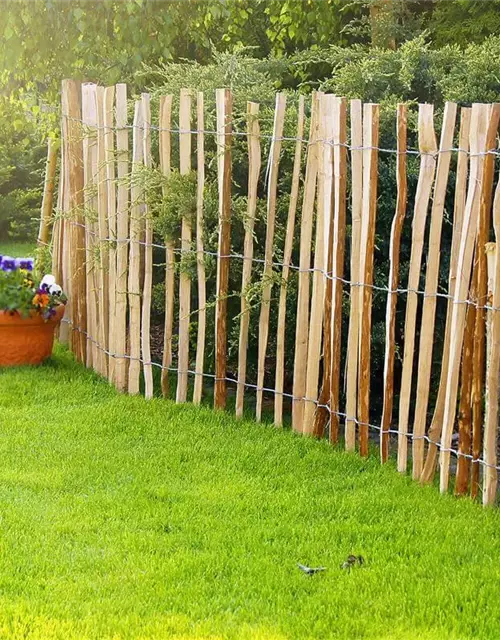 Staketenzaun aus Berg-Haselnuss 1,2x5 m 8-10cm